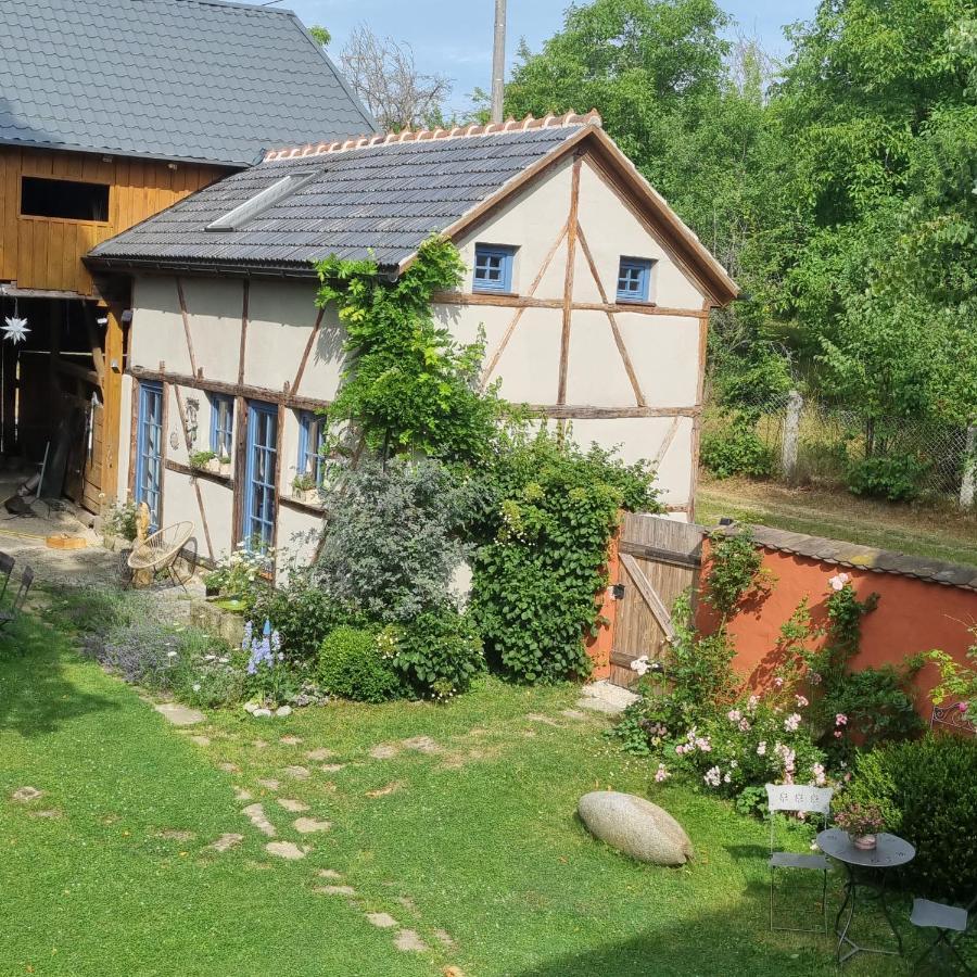 Ankommen, Wohlfuehlen Und Die Natur Geniessen Lichtenhain (Sebnitz) Exterior foto