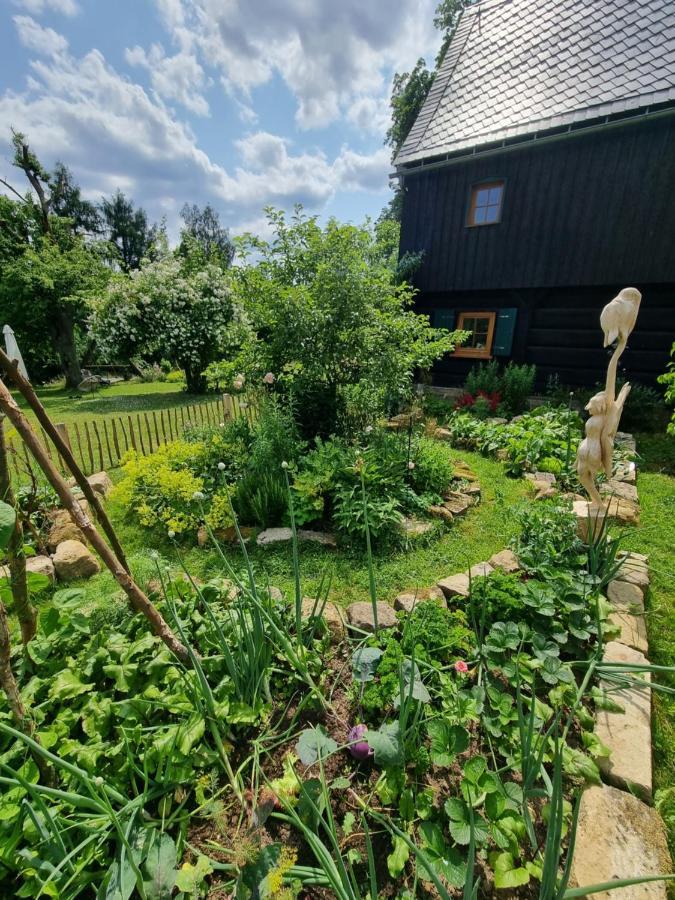 Ankommen, Wohlfuehlen Und Die Natur Geniessen Lichtenhain (Sebnitz) Exterior foto
