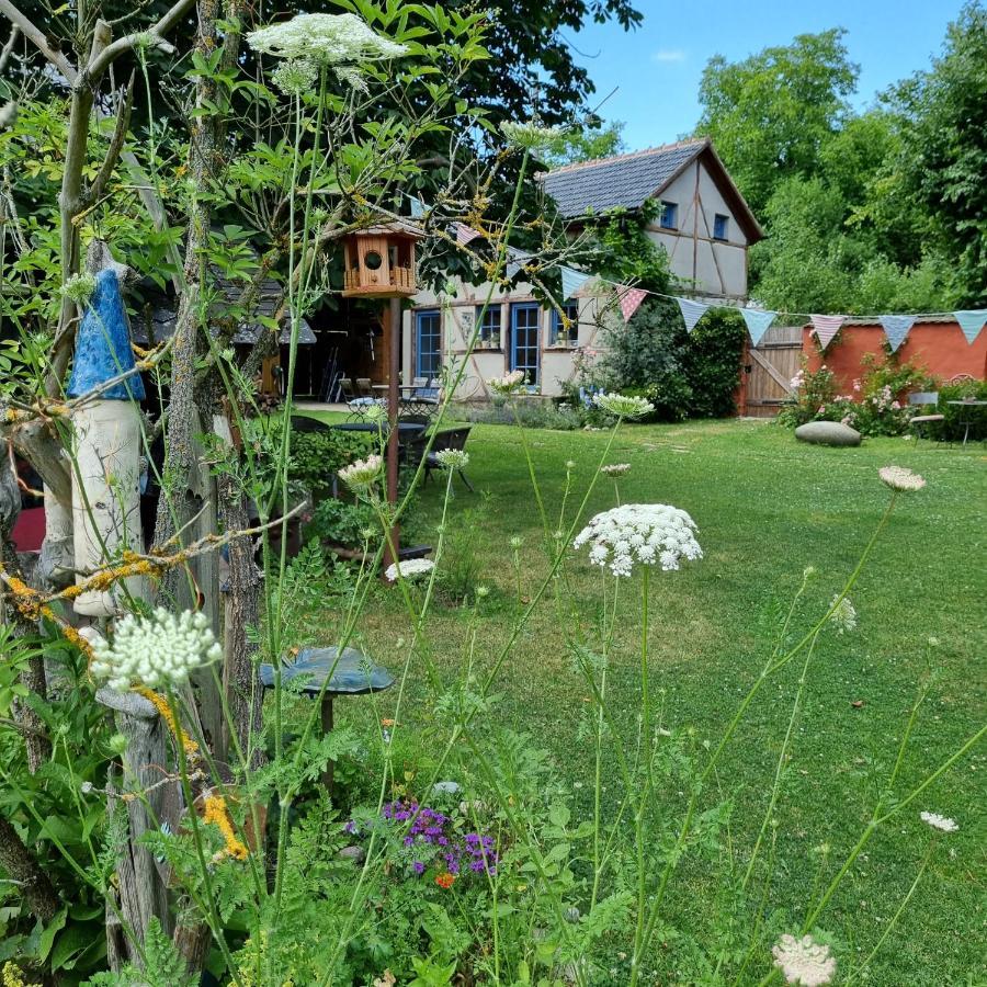 Ankommen, Wohlfuehlen Und Die Natur Geniessen Lichtenhain (Sebnitz) Exterior foto