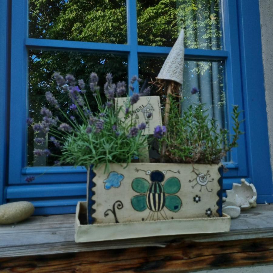 Ankommen, Wohlfuehlen Und Die Natur Geniessen Lichtenhain (Sebnitz) Exterior foto